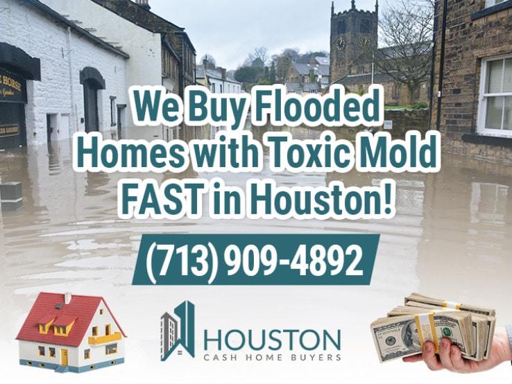 houston water damage and mold